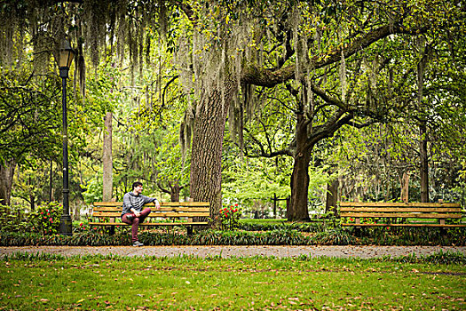 男人,公园长椅,乔治亚,美国