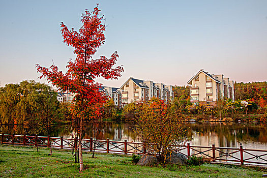 河边树林住宅