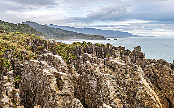 砂岩,石头,岩石构造,薄烤饼,帕帕罗瓦国家公园,西海岸,新西兰,大洋洲