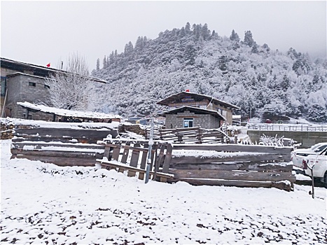 鲁朗春日初雪