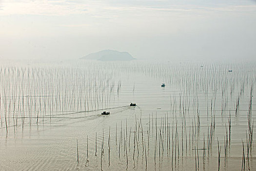 福建宁德市霞浦县北岐村滩涂早晨行驶的渔船