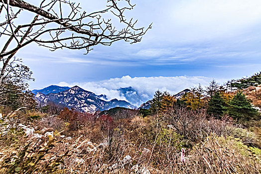 山东省泰安市泰山自然景观