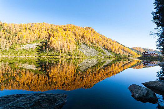 反射,水上,秋天,全景,高山湖