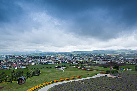 北海道夏季