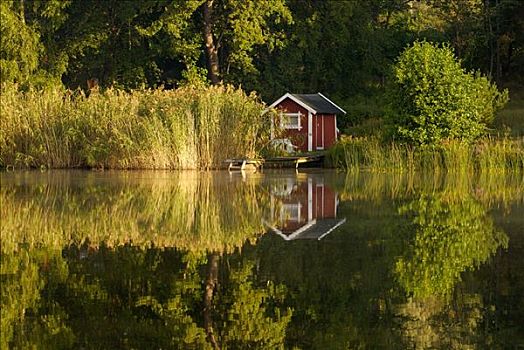 房子,海洋,瑞典