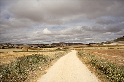 道路,西班牙,乡村