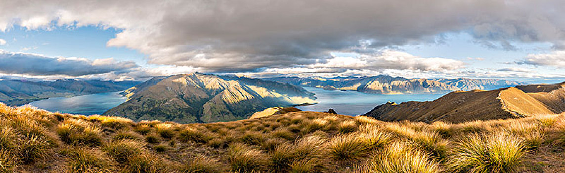 草地,风景,两个,湖,围绕,山,瓦纳卡湖,顶峰,奥塔哥,南岛,新西兰,大洋洲