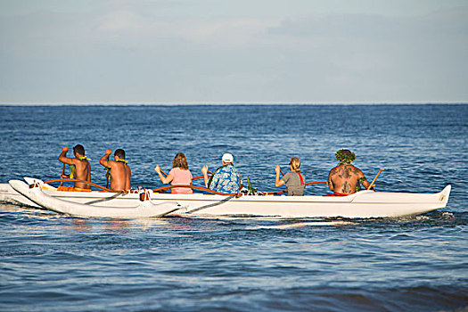 夏威夷,指导,文化,独木舟,文化遗产,划船,历史,食肉鹦鹉,费尔蒙特,毛伊岛,美国