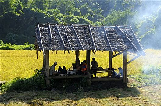 山峦,西北,泰国,午休,清迈,亚洲