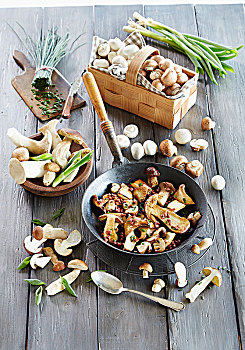 蘑菇,锅,小洋葱,细香葱