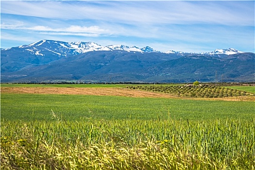 内华达山脉,山脉,西班牙