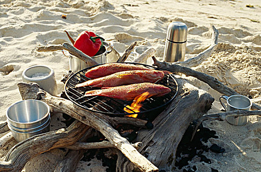 鲷鱼,就绪,烧烤,海滩