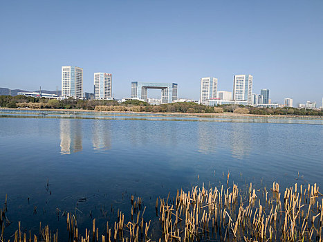 春到蠡湖湿地