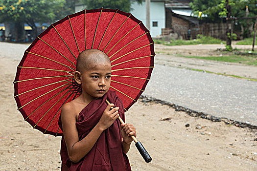 缅甸,明宫,头像,年轻,僧侣