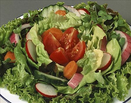 蔬菜沙拉,西红柿,萝卜,洋葱,水芹