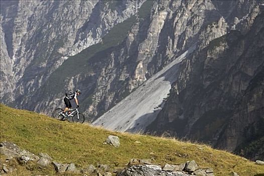 山地自行车,草场,山谷,提洛尔,奥地利