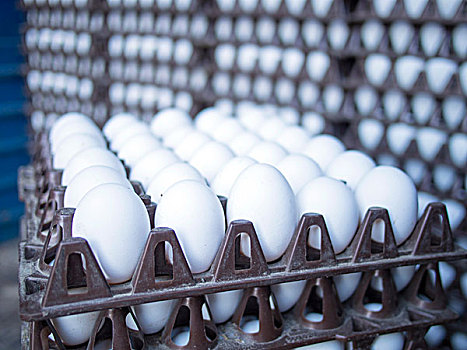 蛋,一堆,板条箱,班加罗尔,印度