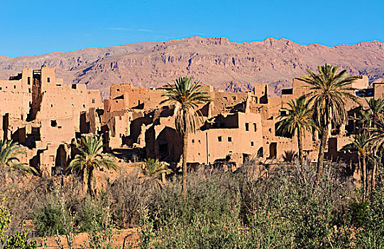 摩洛哥,阿特拉斯山脉,绿洲,乡村,漂亮,山,绿色,棕榈树