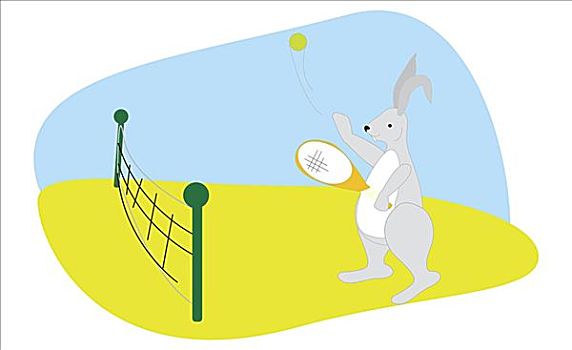 兔子,玩,网球
