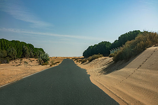 迪拜沙漠保护区公路杜巴艾因路