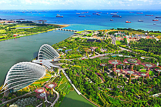 新加坡,新加坡城,植物园,花园,湾
