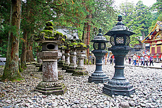 日本,陵墓,树林,世界遗产