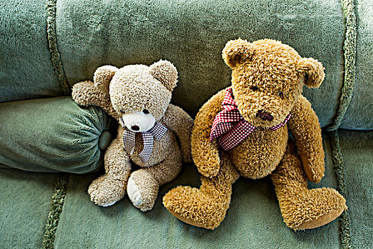 两个,泰迪熊,坐,沙发