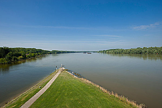 枝条,多瑙河,河,靠近,匈牙利,欧洲