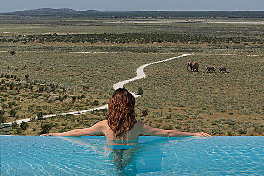 女人,看,大象,白云石,露营,埃托沙国家公园,纳米比亚