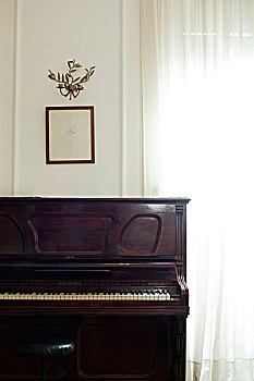 钢琴,家