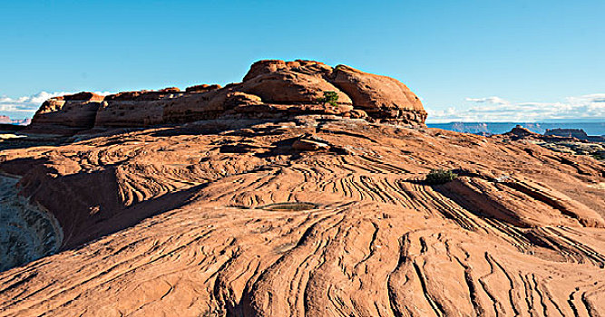 岩石构造,针,地区,峡谷地国家公园,犹他,美国,北美