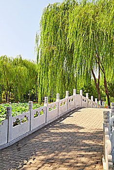 北京东升八家郊野公园里夏季的景色