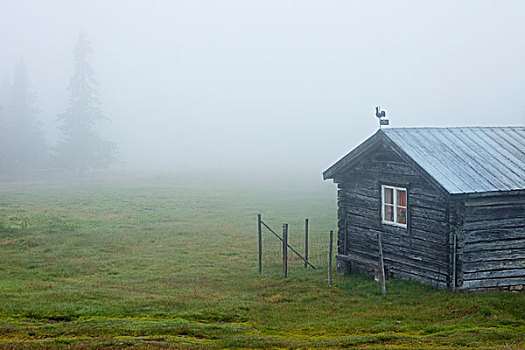 小屋,薄雾,瑞典