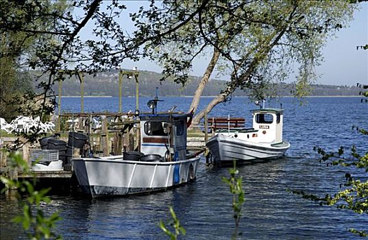 渔船,格罗塞尔,看,湖,石荷州,德国,欧洲