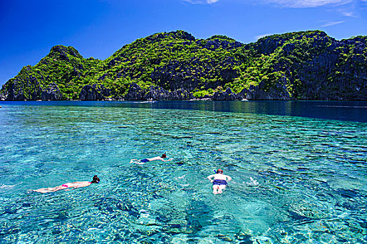 旅游,游泳,晶莹,清水,群岛,巴拉望岛,菲律宾