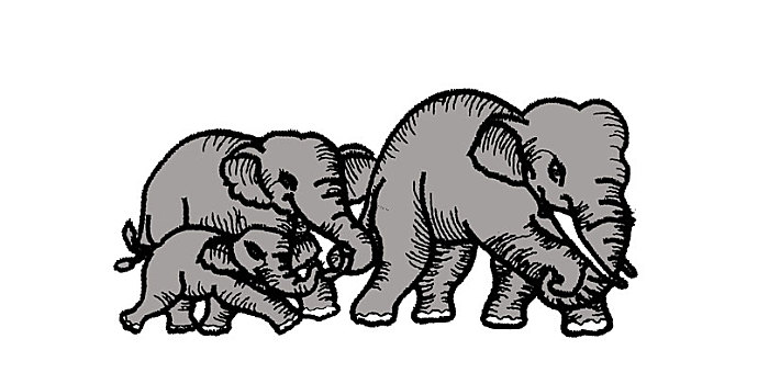 大象,动物,哺乳动物,插画
