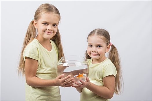 两个女孩,握手,水族箱,金鱼