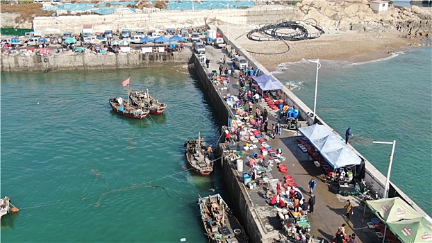 山东省日照市,渔船靠岸带来大量海鲜,市民开着车前来抢购