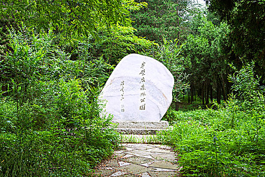 中国北方园林间的石头