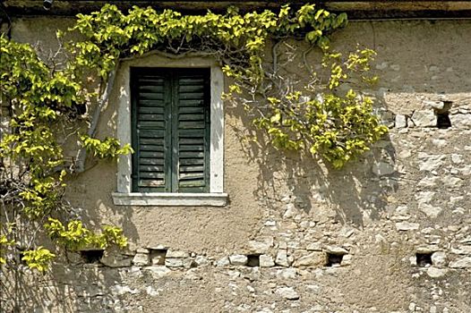 窗户,意大利