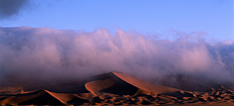 纳米比亚,纳米比沙漠,国家公园,晨雾,大西洋,沙丘,索苏维来地区
