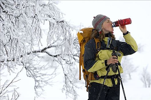 长途,滑雪者,雪中,遮盖,风景,瑞典