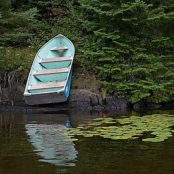划桨船,湖岸,湖,木头,安大略省,加拿大