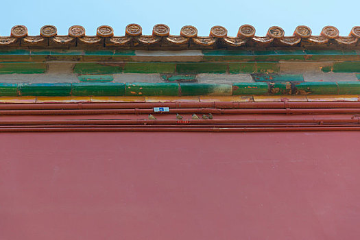 北京故宫红色城墙上面几只小鸟
