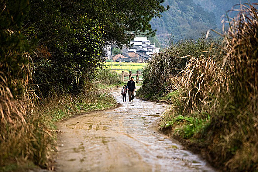 乡村小路