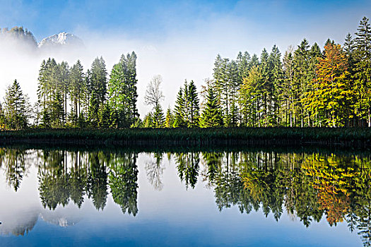 湖,树,反射,秋天,萨尔茨卡莫古特,上奥地利州,奥地利,欧洲