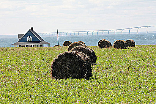干草包,土地,桥,背景,联邦大桥,爱德华王子岛,新布兰斯维克,加拿大