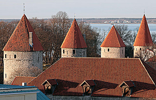 排,要塞,塔,红色,屋顶,老,塔林,爱沙尼亚
