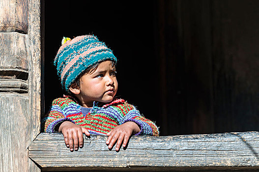 小孩,看窗外,木屋,喜马偕尔邦,印度,亚洲