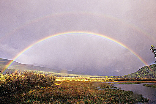 彩虹,上方,湿地,鲍伦湖,省立公园,不列颠哥伦比亚省,加拿大